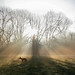 Ray Heath Photo 28