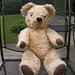 Susan Borne Photo 13
