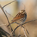 Andrew Bunting Photo 10