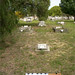 Jeremiah Cronin Photo 12