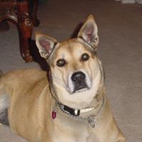 Cary Scott Photo 6