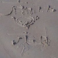 Janice Cyrus Photo 17