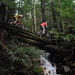 Thomas Braden Photo 18