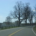 Sharon Salisbury Photo 9