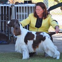 Robyn Nicholson Photo 15