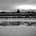 Paul Grabowski Photo 22