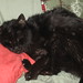 Susan Krause Photo 23
