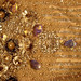 David Maltz Photo 9