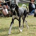 Deborah Ratliff Photo 33