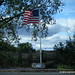 Theresa Mcnamara Photo 12