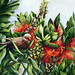 Julie Mcintyre Photo 23