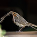 Robin Lucas Photo 42