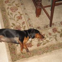 Jane Gerber Photo 26