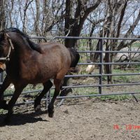 Scott Rust Photo 29