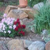 Marsha Zimmerman Photo 9