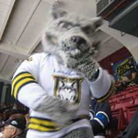 Sean Wolfe Photo 24