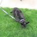Scottie Monroe Photo 3