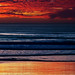 Sandy Straub Photo 6