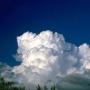 Sharon Prater Photo 9