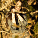 Barbara Gomes Photo 14