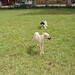 Dora Brown Photo 23