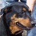 Brandy Foster Photo 43