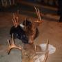 Kenneth Becker Photo 20
