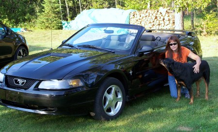 Vicki Johnson Photo 11