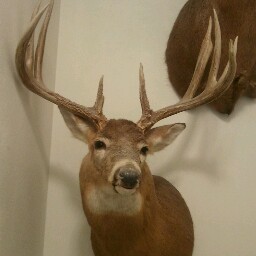 Todd Heath Photo 35