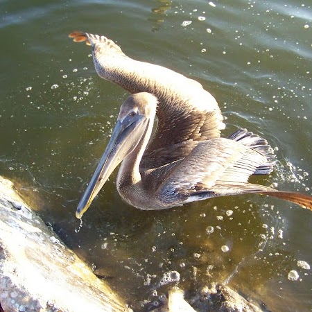 Helen Tabor Photo 10