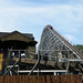 Robin Roller Photo 16