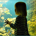 Sarah Seaman Photo 25