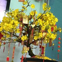 Loi Diep Photo 4