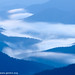 Dawn Parks Photo 29