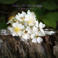 Theresa Childers Photo 23