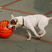 Debra Russell Photo 15
