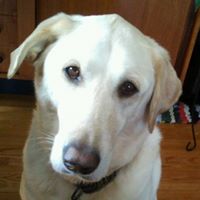 Marie Mahaffey Photo 11