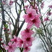 Samantha Meeks Photo 33