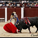 Sergio Aguilar Photo 39