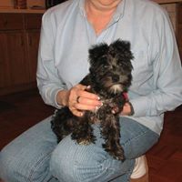 Sandra Snider Photo 28