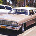 Paul Kinney Photo 32