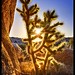 James Neeley Photo 7