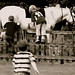 Sarah Nesbit Photo 7