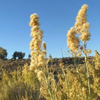 Mark Gagnon Photo 33
