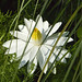 Elaine Reed Photo 23