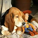 Linda Woody Photo 20
