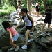 Jeanne Cross Photo 14