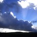 Tracy Storm Photo 14
