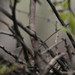 Cody Jacobson Photo 19