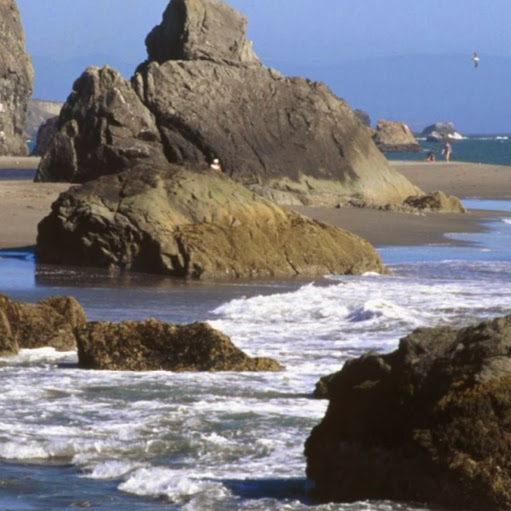 Debra Sorensen Photo 29